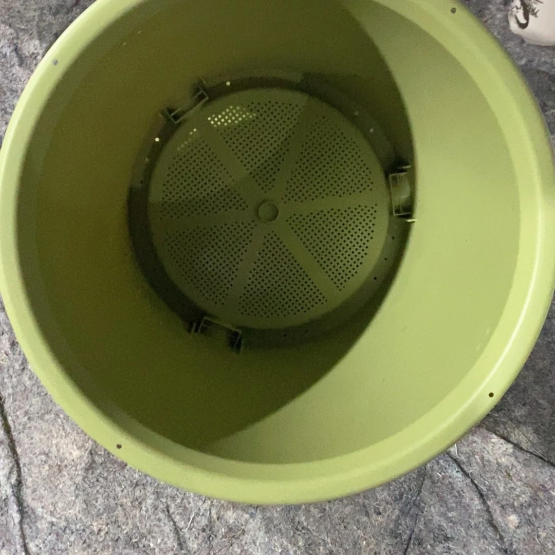 3个爱丽丝14号果绿无托（46.5×40.2）