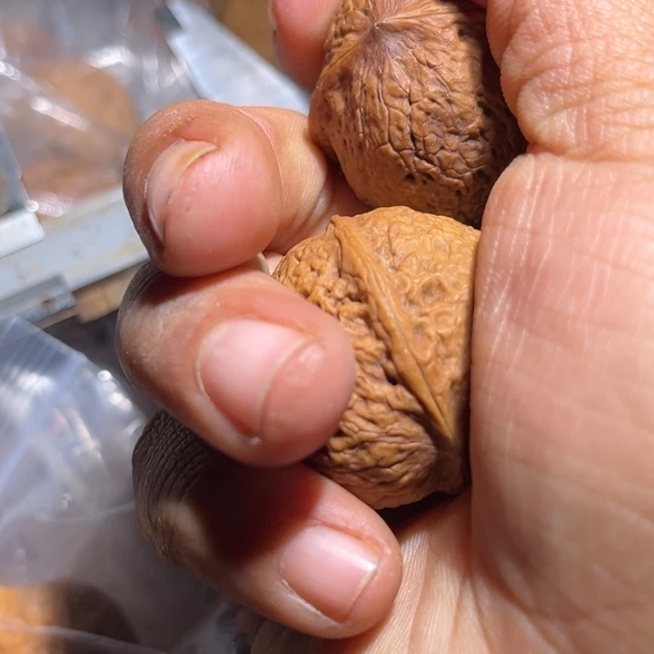 吊坠文玩核桃滇西132