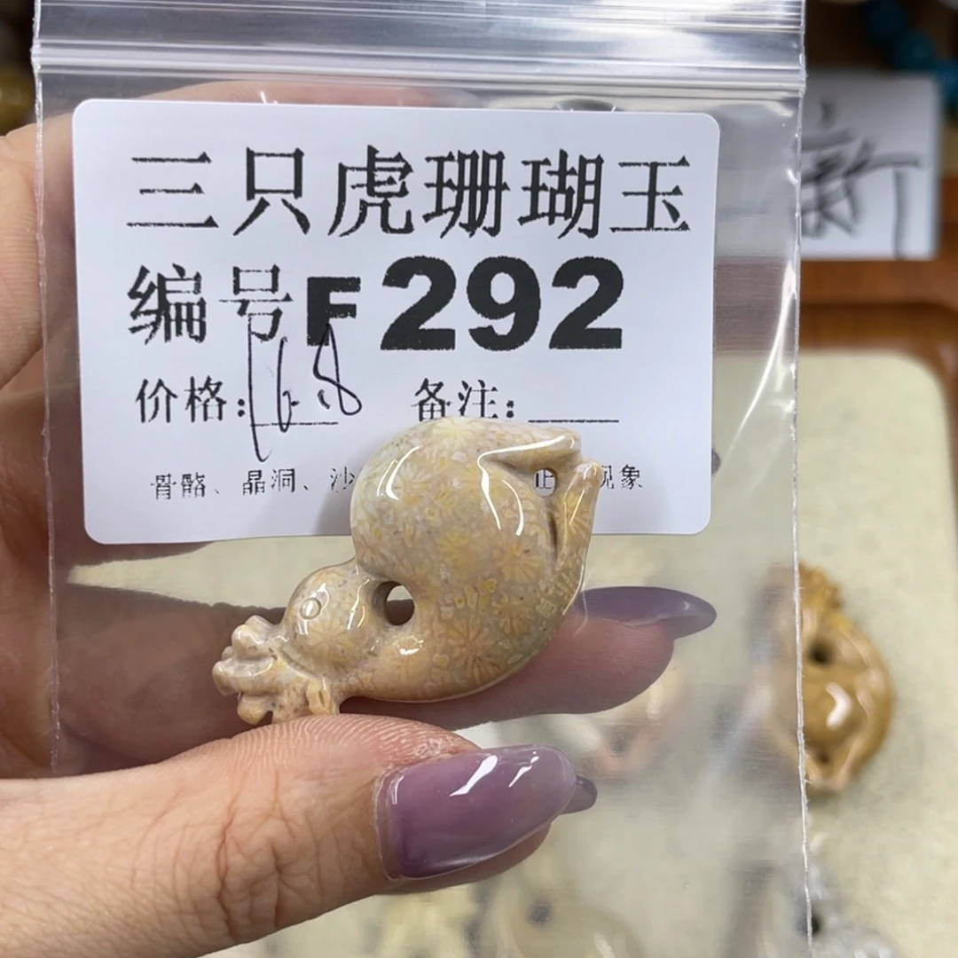 金***兰未镶嵌h硅化珊瑚（珊瑚玉）
