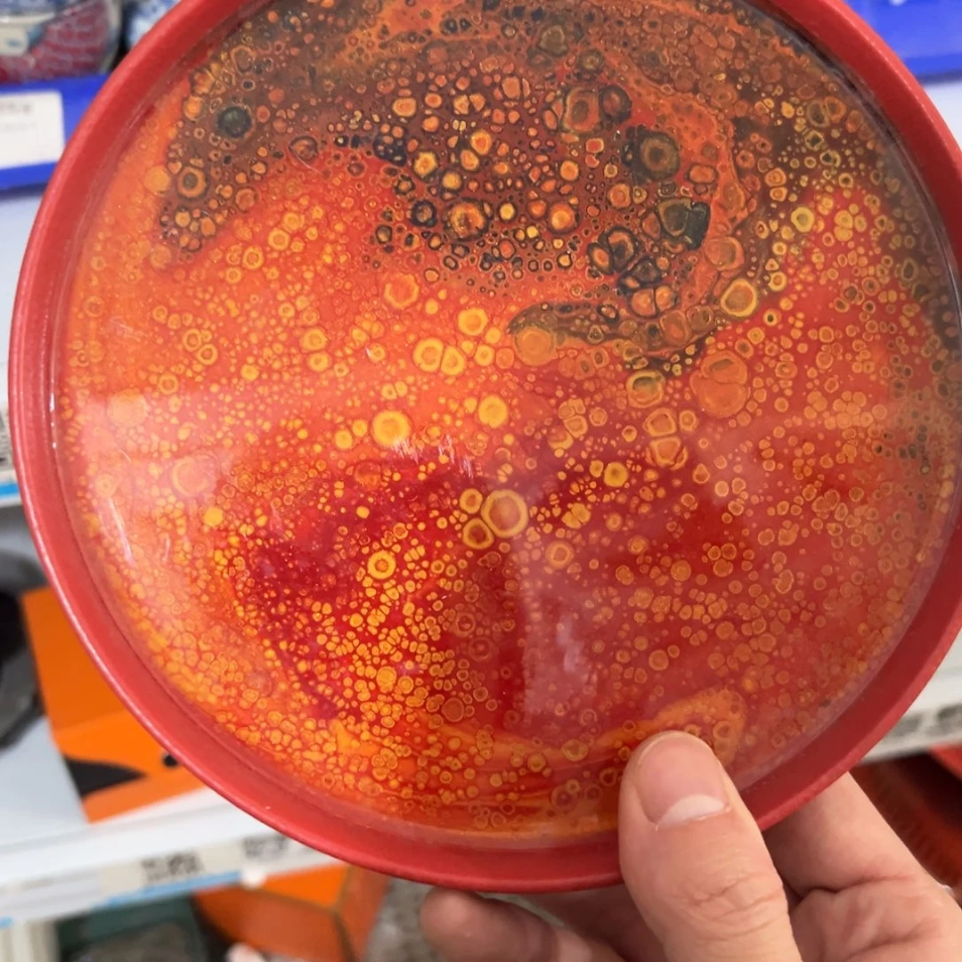 陶瓷艺术品等行业的专业生产