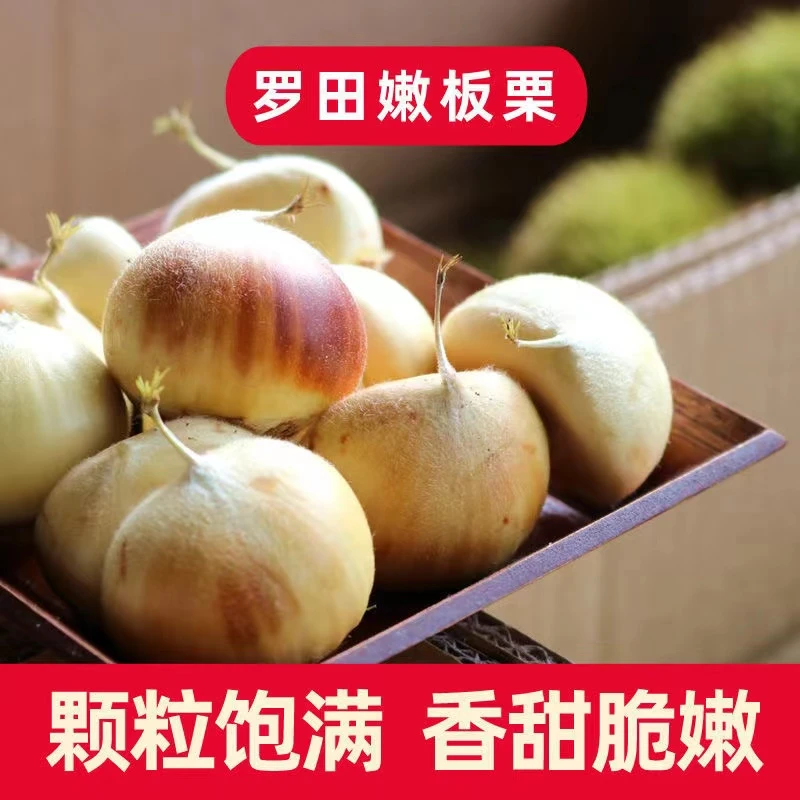 大别山罗田板栗，现摘刺球剥开带壳板栗5斤装，