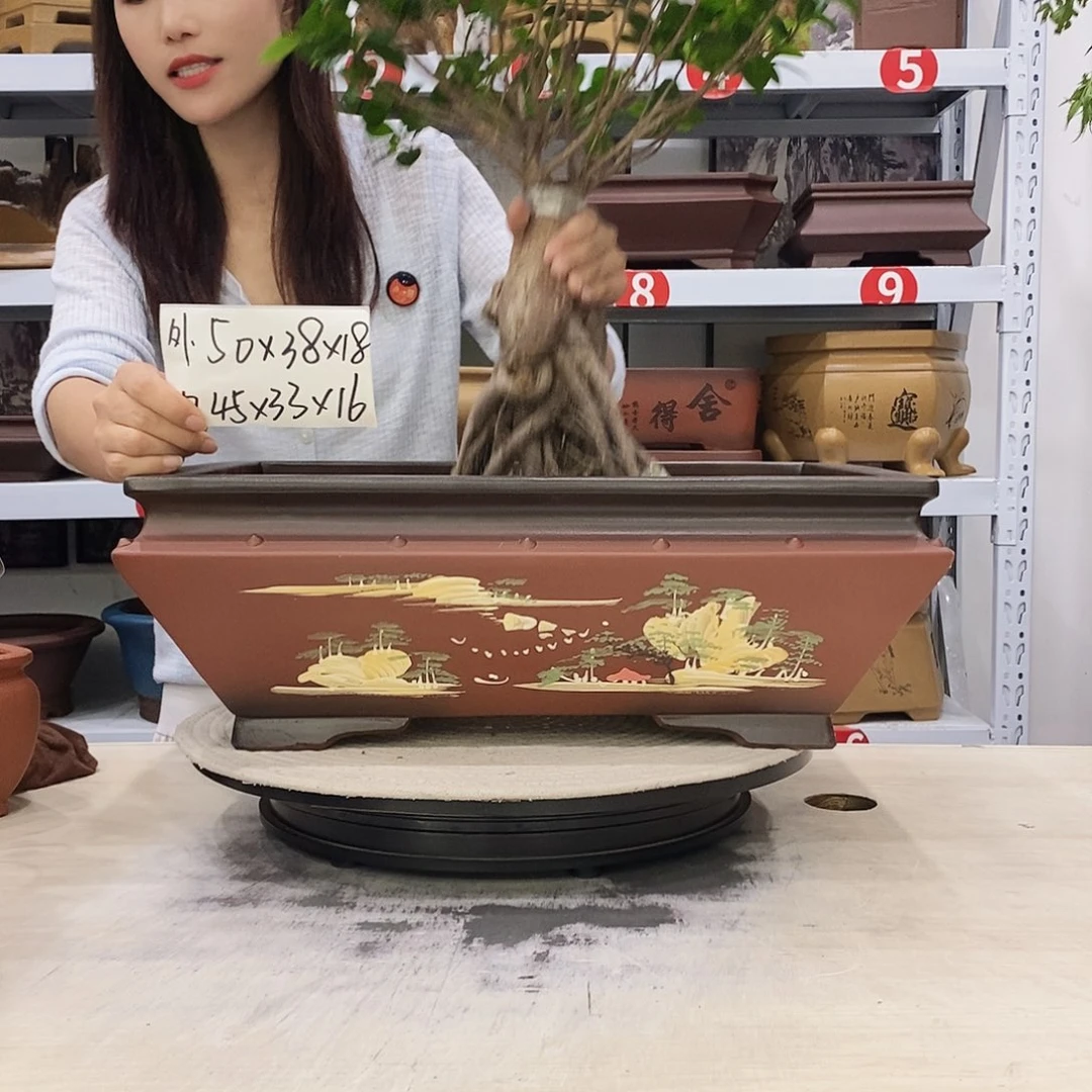 紫砂花盆紫砂花盆