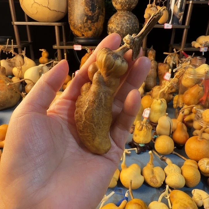 ****7葫芦大厚实而有特色