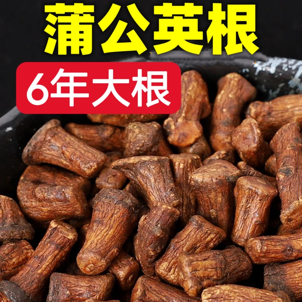 蒲公英根茶 婆婆丁根茶长白山蒲公英茶 炒熟蒲公英根花草根茶