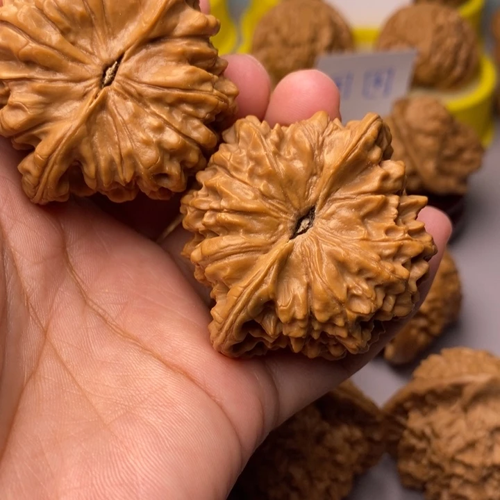 文玩核桃把件瘸**?官帽