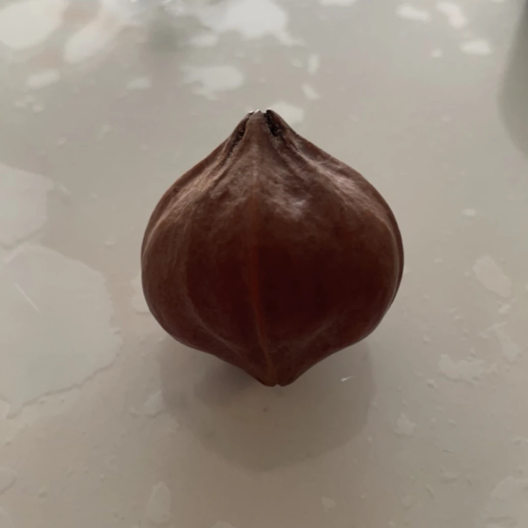 3.0精品大四花梅林吊坠