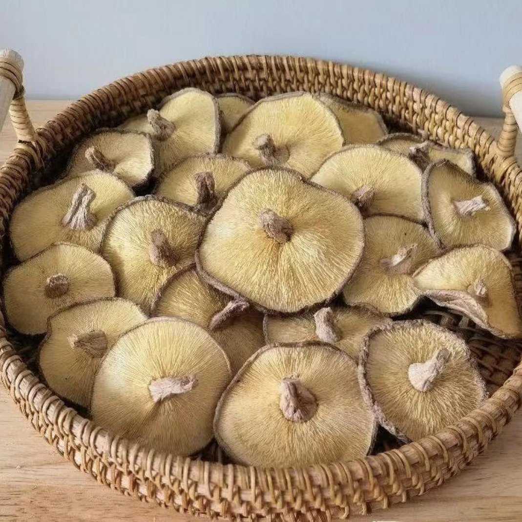 浙南高山 香杏菇