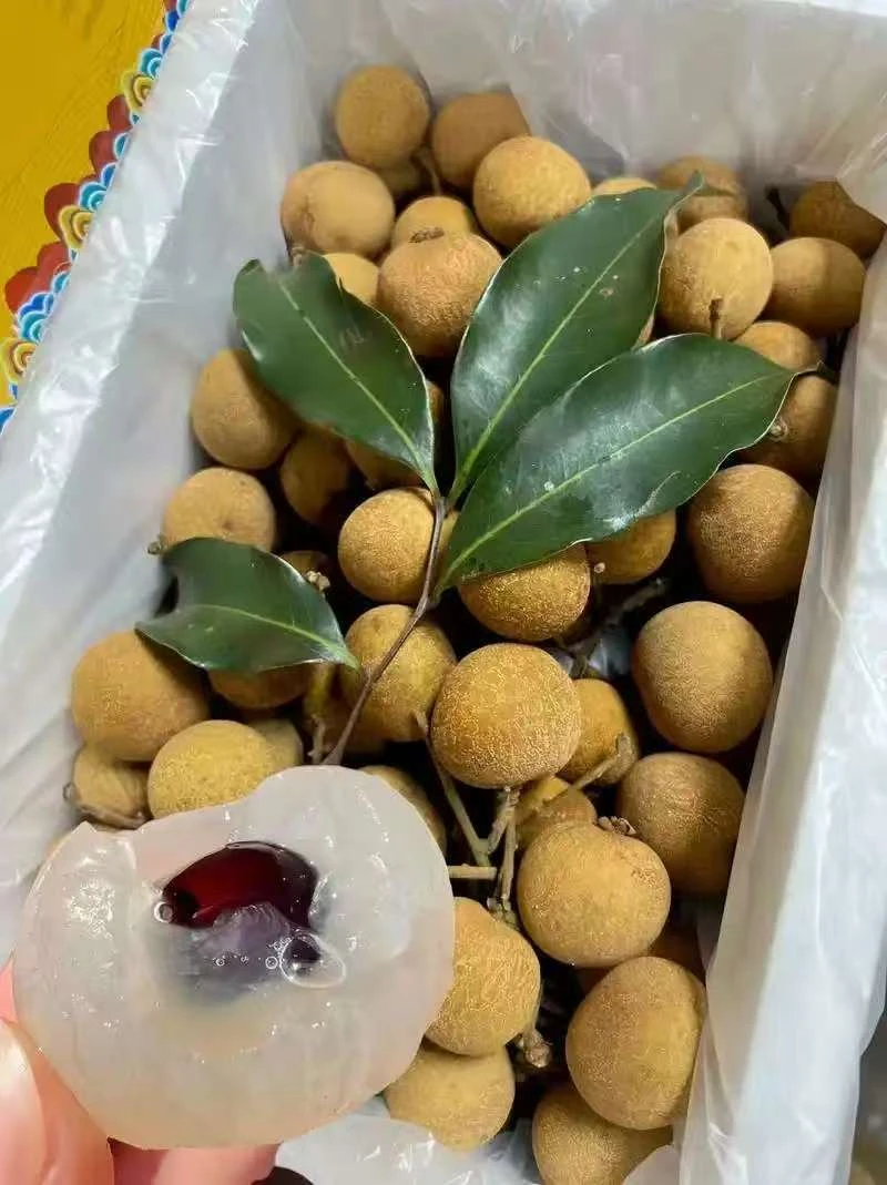 【顺丰包邮】广西平南石硖龙眼新鲜纯甜现货桂圆水果