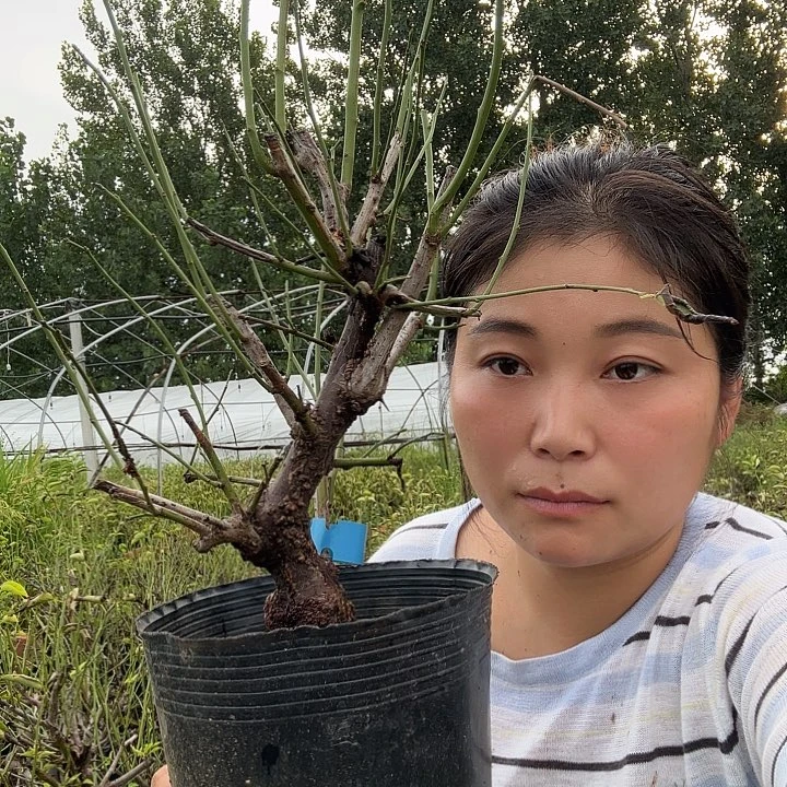 浪***兵无花朵这种事情你能