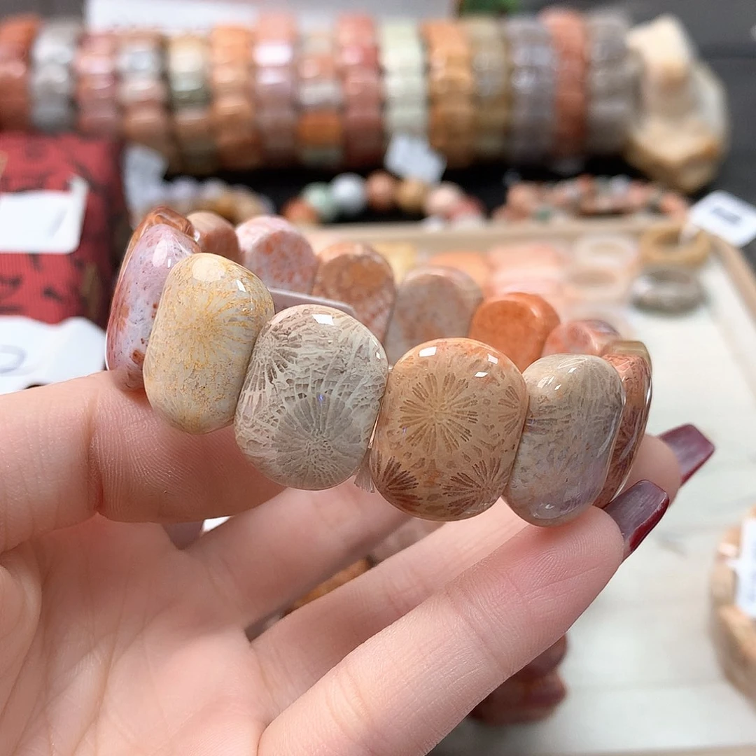 硅化珊瑚（珊瑚玉）手链未镶嵌芯*236