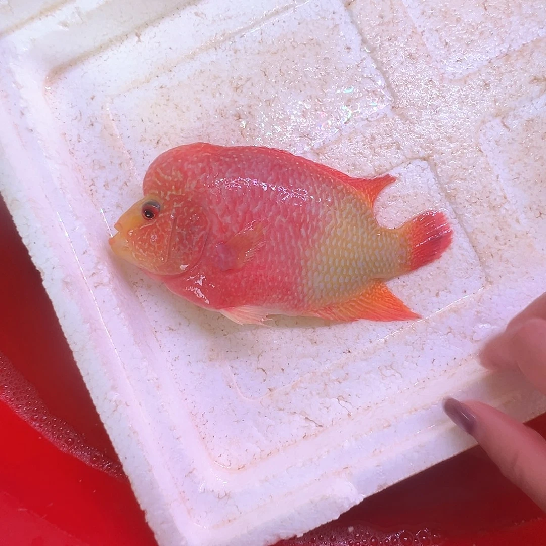 海水啊啊啊啊啊啊啊啊