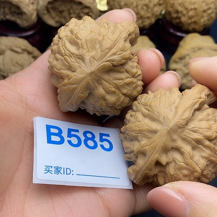 大***工核桃龙鼎5.0，高差尺