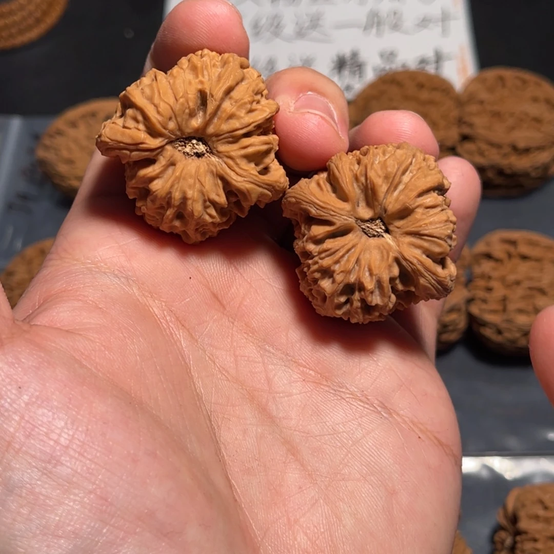 36全品酒杯底涿鹿红皮南疆龟背