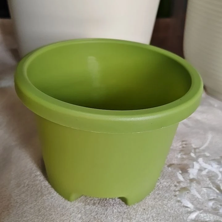 树脂球根一号外口径16.5，果绿无拖5个