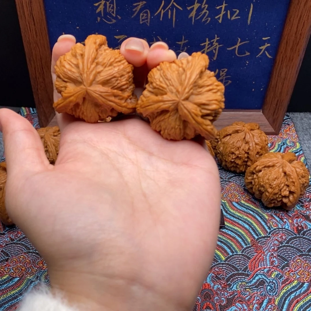 【闪购商品】晨*白狮