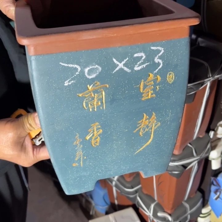 紫砂花盆紫砂花盆