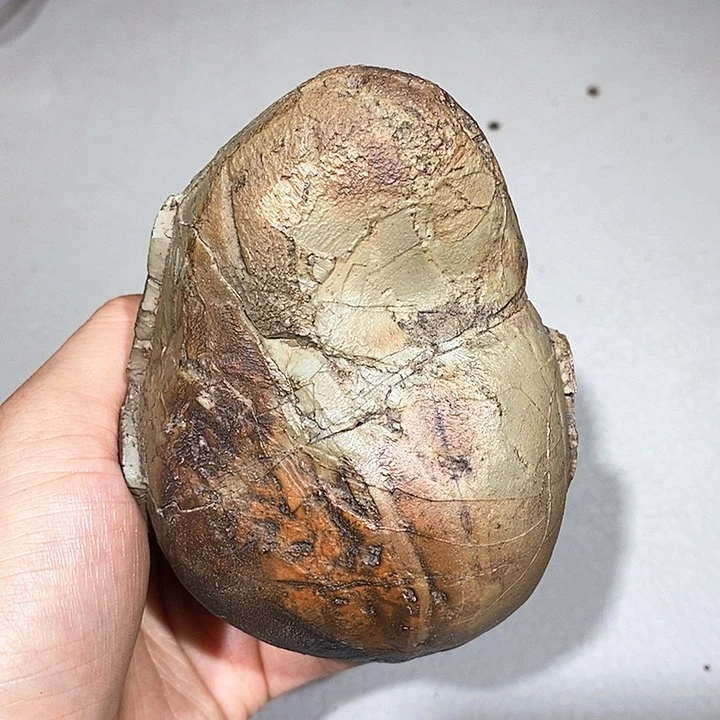 玛瑙/玉髓车挂合金慢*382