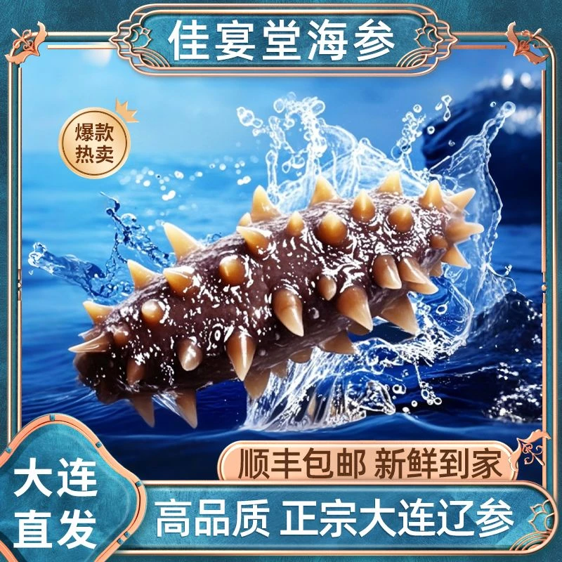 正宗辽参软硬适中大连即食辽参解冻即食大连工厂直发