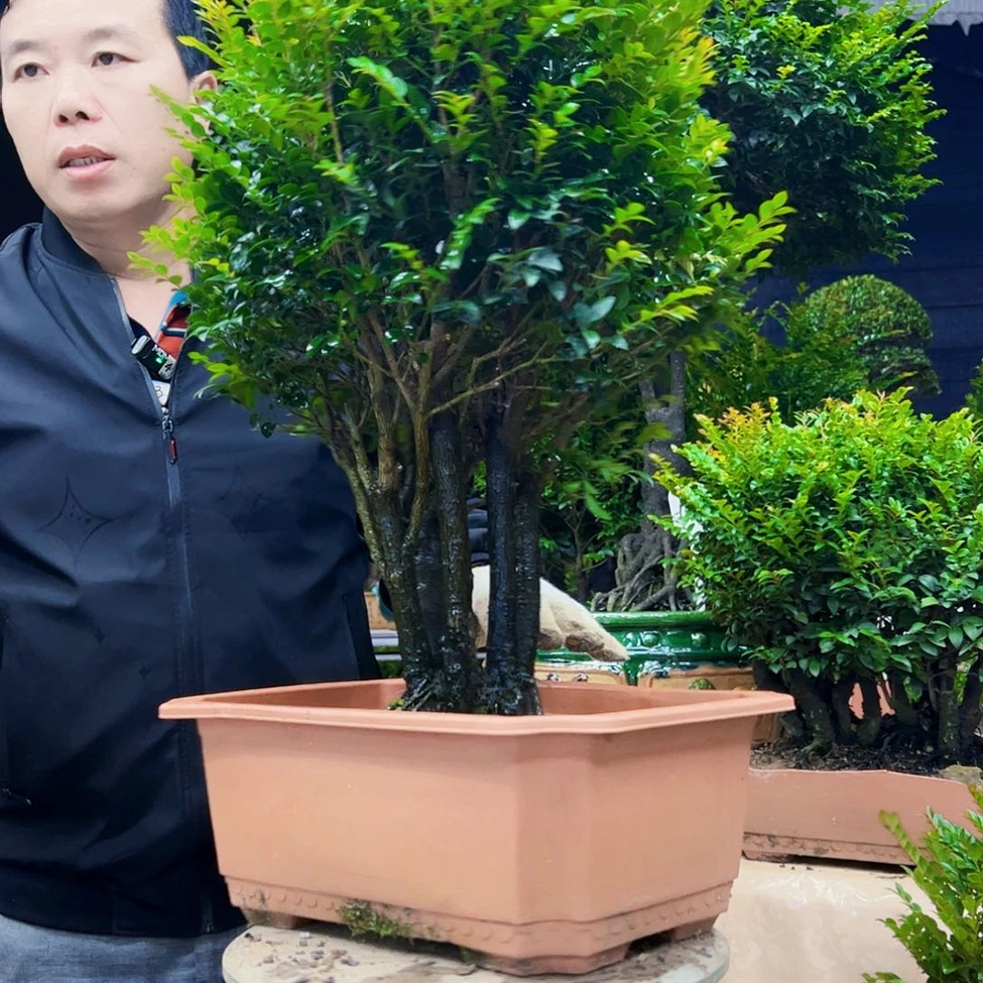 以实际为准老****)12345678