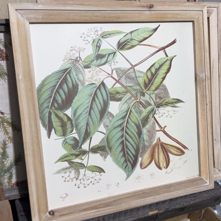 50.50 默认瑕疵 不退不换