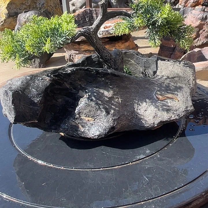 s***i85558258885588888