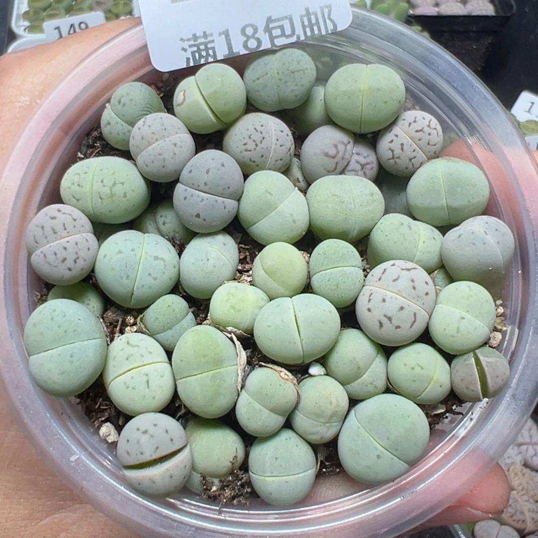 【闪购商品】159……