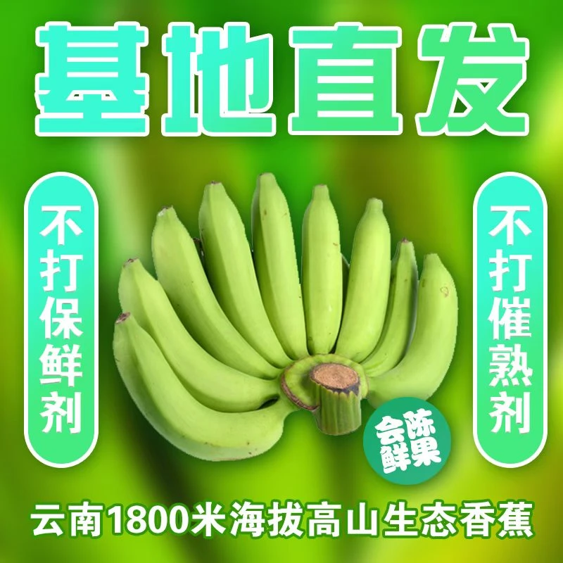 云南生态香蕉，肉心金黄不泡药水，送一个百香果催熟
