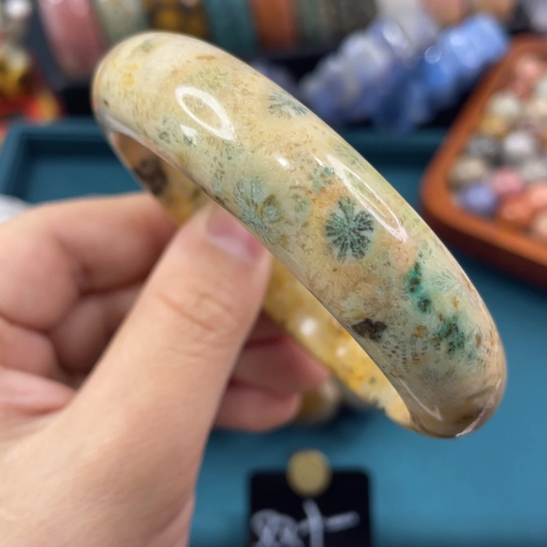 未镶嵌手镯硅化玉