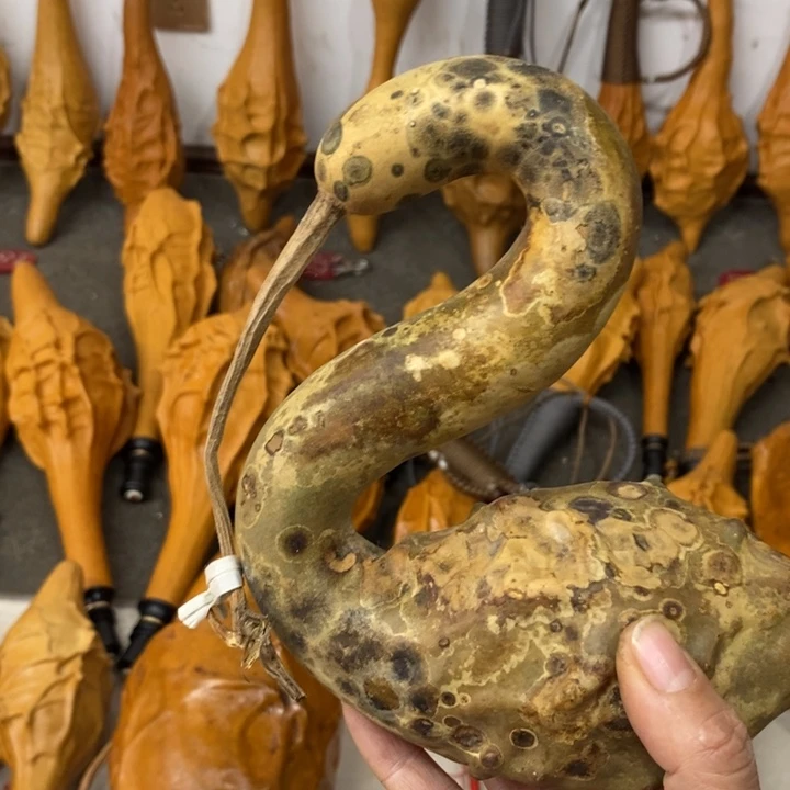 钮***柳葫芦…………………………..