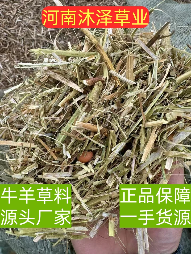 常年出售牛羊草料，源头厂家，杜绝高价货，二手货（现阶段一级黄绿）