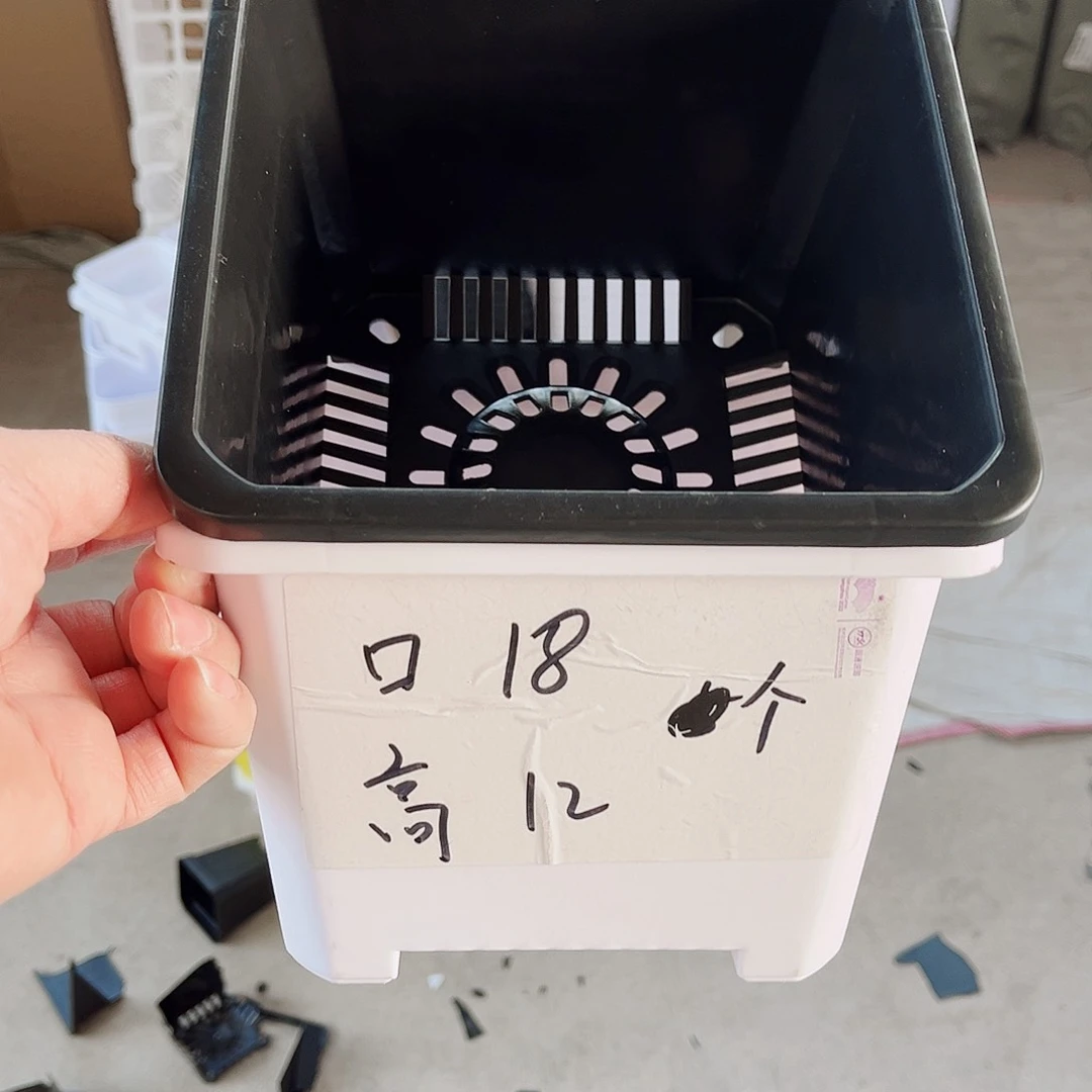 塑料升级款景天18方黑色盆10个无托