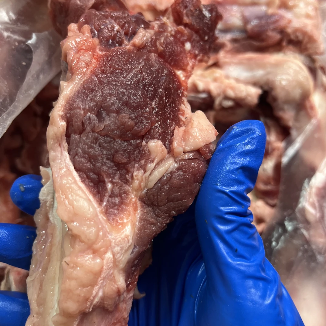 清真牛脊骨牛霸王鞭牛骨头类的佳品