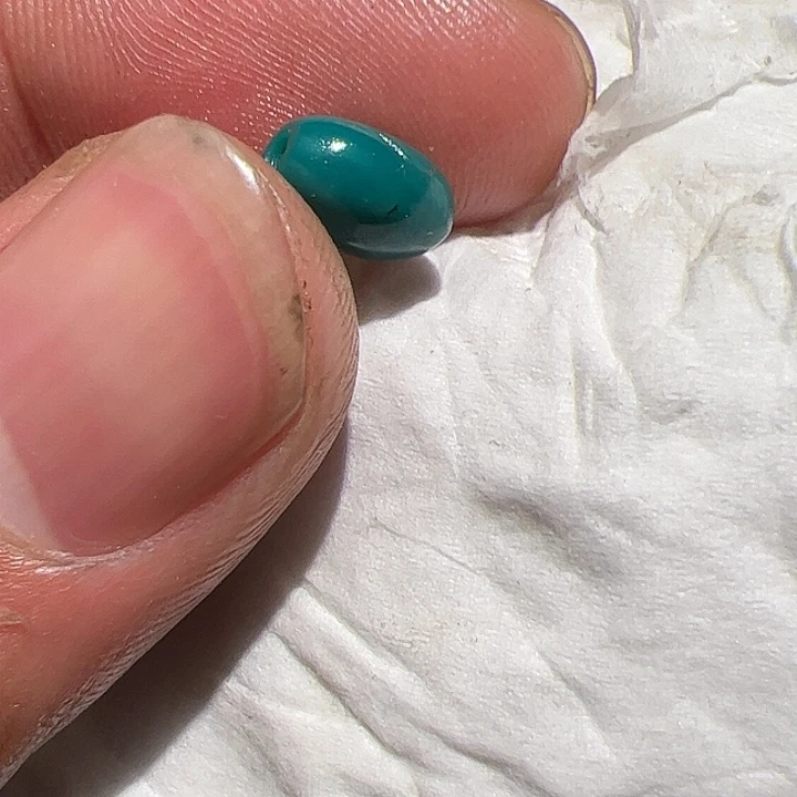 香榧木楊在家了一天