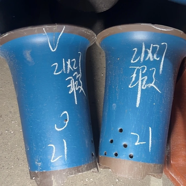 周深周深周深周深走