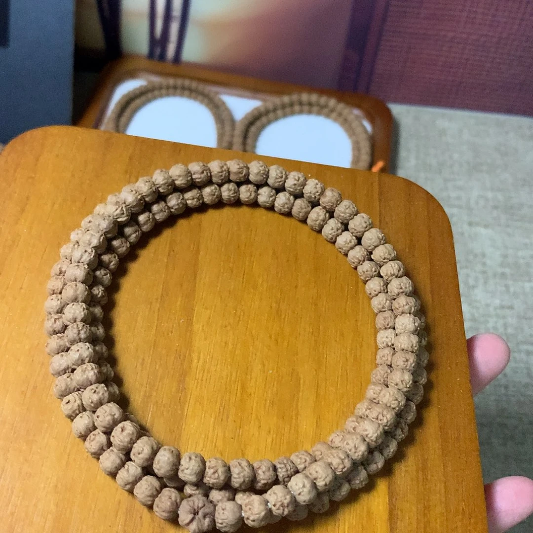 菩提SSSR六爪金龙➕五爪金龙