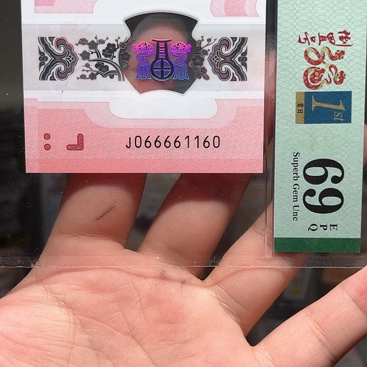 塑料金*玉龙钞啊啊啊啊啊啊啊啊啊