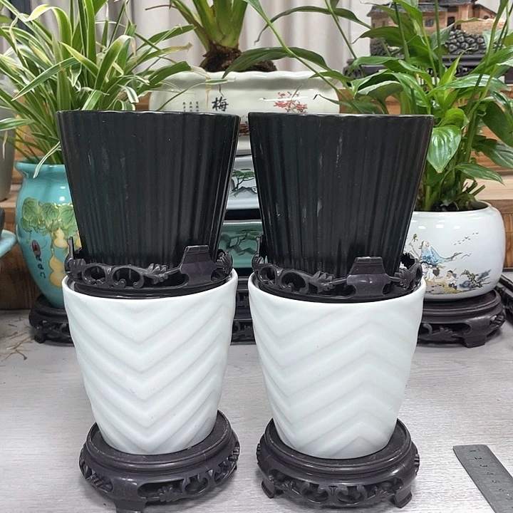 陶瓷花盆抢购福利活动