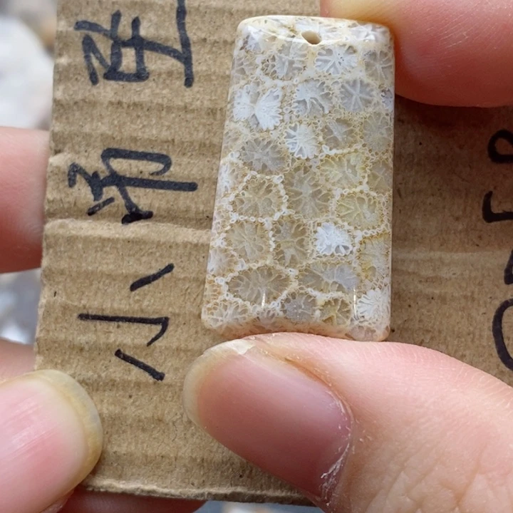 硅化珊瑚（珊瑚玉）颈饰未镶嵌浩***溟