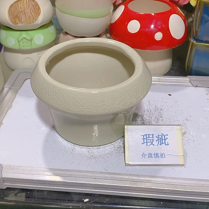 摆件多肉瑕疵盆有孔。