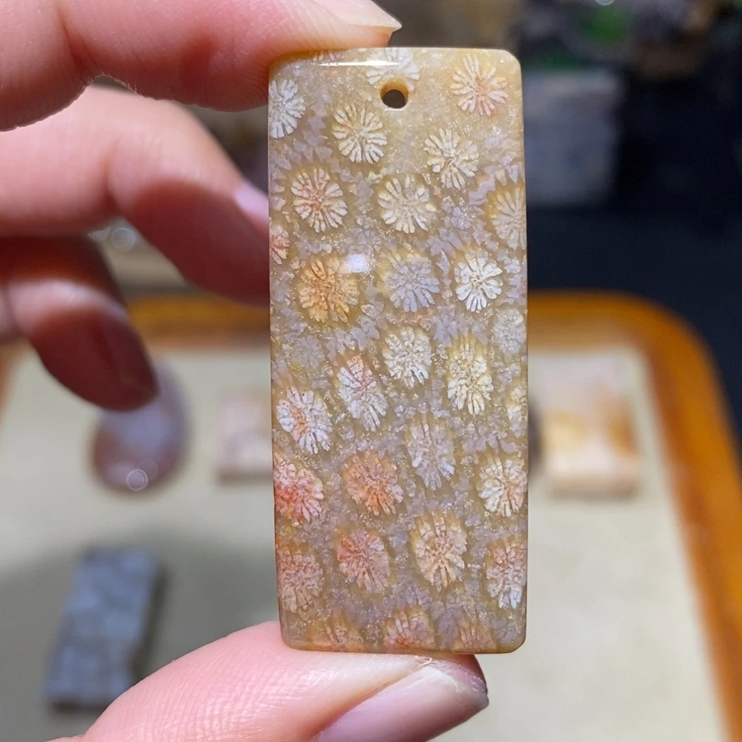 【闪购商品】硅化玉颈饰未镶嵌