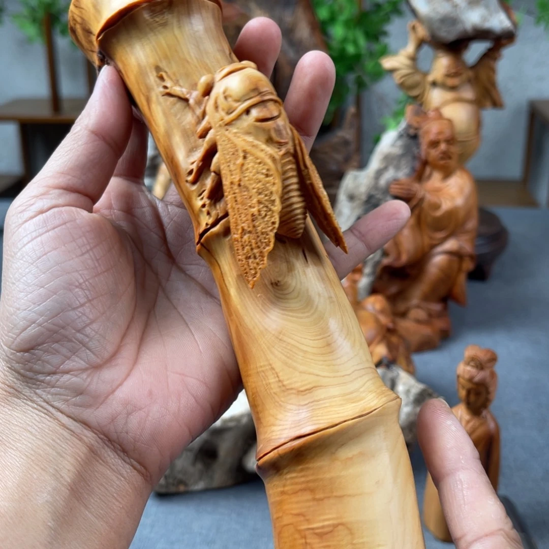 柏木（崖柏）崖柏太行山脉