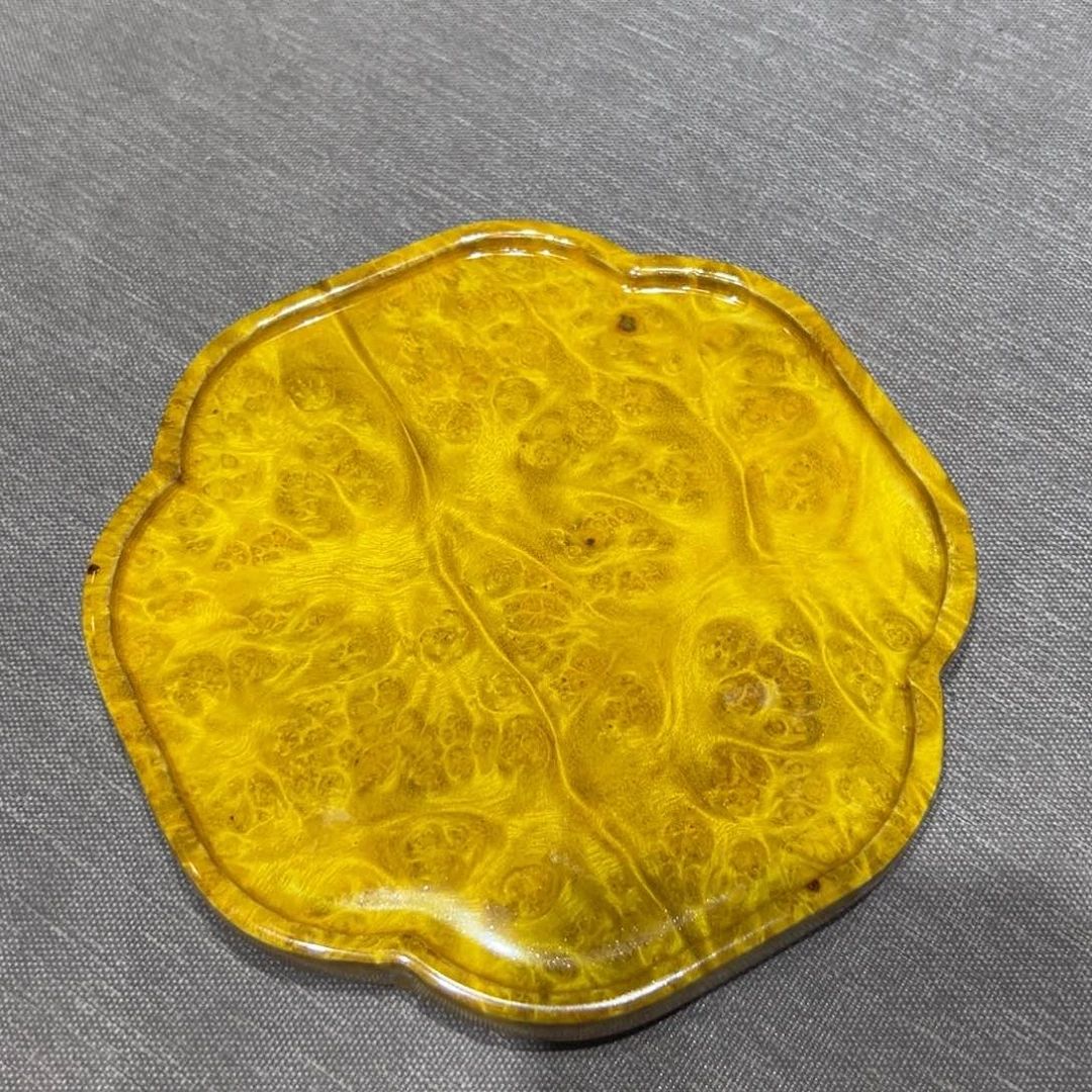 黄金樟888888888h h h