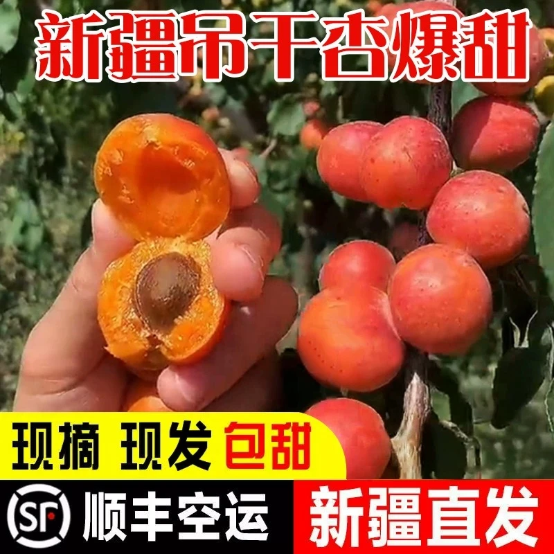 新疆小红杏子新鲜水果吊干特产红杏3斤整箱当季现摘孕妇顺丰包邮