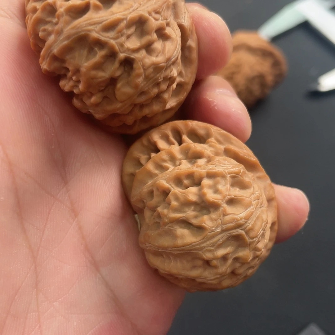 大叶紫檀（黑酸枝木类）