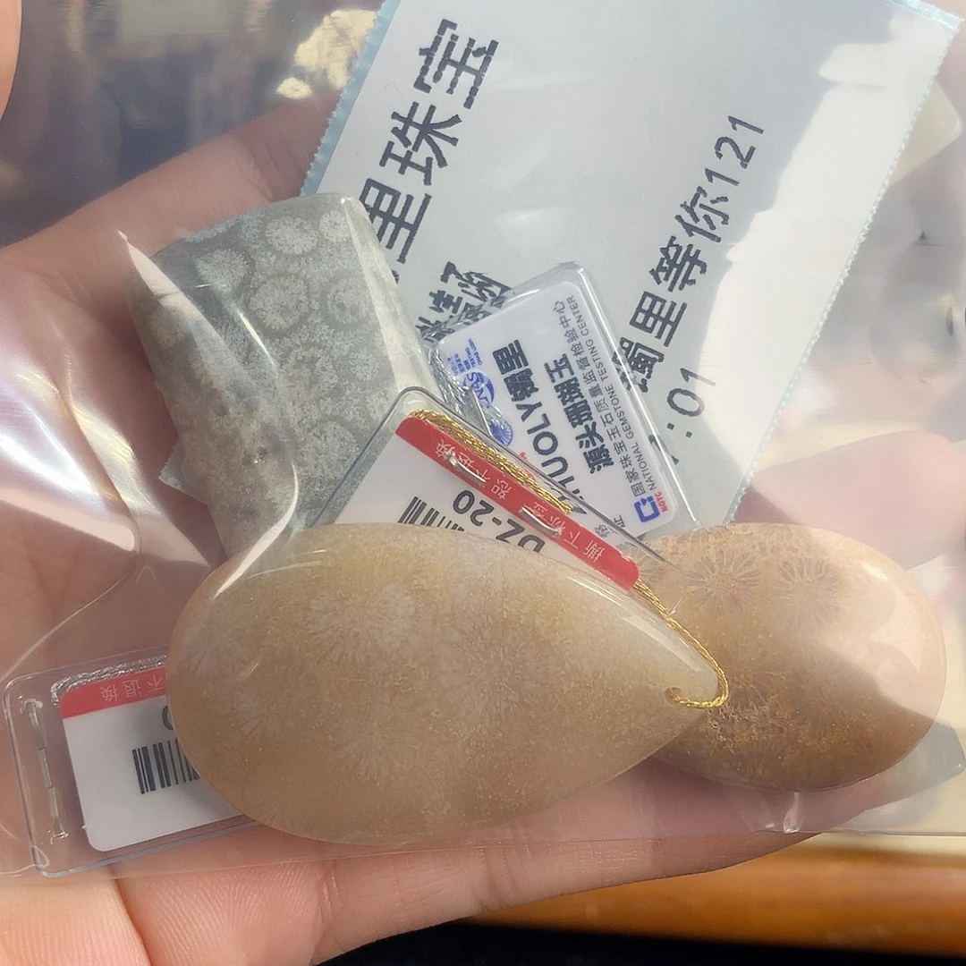 快***函吊坠(赠链)未镶嵌硅化珊瑚（珊瑚玉）