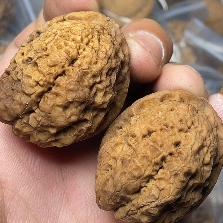 把件文玩核桃云南铁核桃68