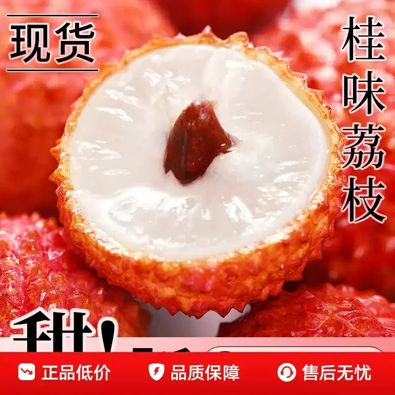 【现货-顺丰/京东冷链】正宗广东桂味荔枝季新鲜水果包邮直达