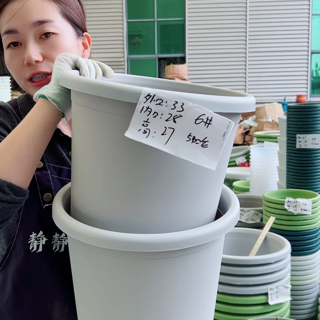 四季盆6#灰白5个无托