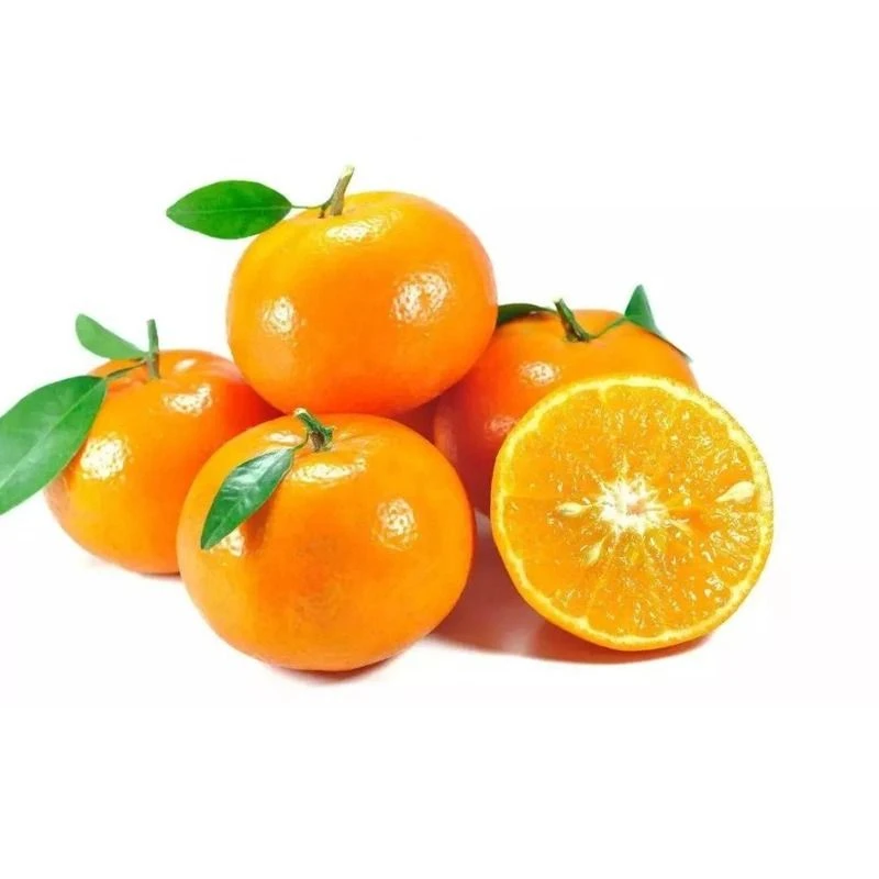 新鲜沃柑  ۋوگەن جۈزە （1000g  广东）