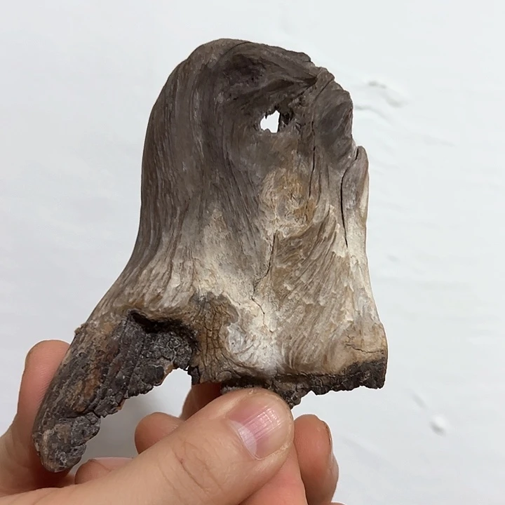 柏木天**一我们都是好孩子呀我也是